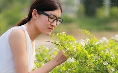 党的女儿电视剧